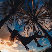 Отзыв от Елена - DTV виза